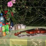 IMG_7493