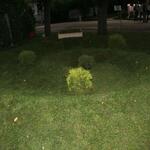 IMG_7506
