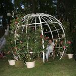 IMG_7507