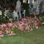 IMG_7509