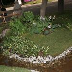 IMG_7513