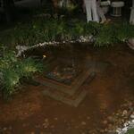 IMG_7515