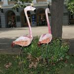 IMG_7519