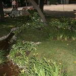 IMG_7529
