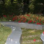 IMG_7560