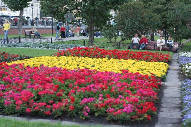 IMG_7635