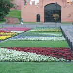 IMG_7636