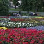 IMG_7637
