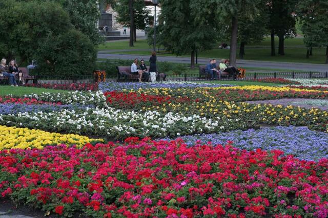 IMG_7637