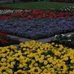 IMG_7644