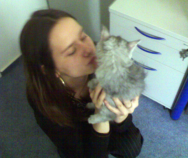 cats_0002