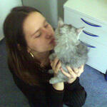 cats_0002