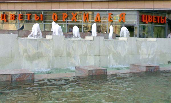 orhi