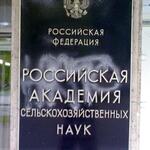 rasn