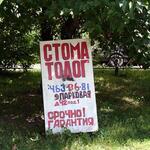 stoma