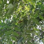 IMG_7768
