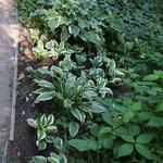 IMG_7769