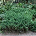 IMG_7771