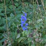 IMG_7777