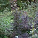 IMG_7778