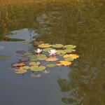 IMG_7780