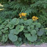 IMG_7782