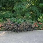 IMG_7784