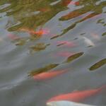IMG_7789