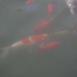 IMG_7790
