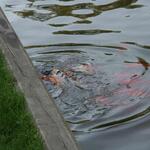 IMG_7792