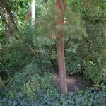 IMG_7796