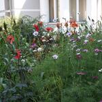 IMG_7801