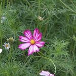 IMG_7802