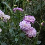 IMG_7804