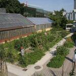 IMG_7809