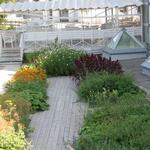 IMG_7811