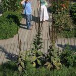 IMG_7812
