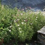 IMG_7813