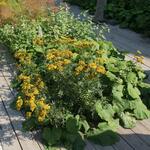 IMG_7815