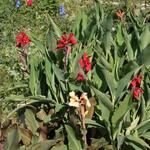 IMG_7819