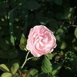 IMG_7830