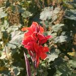 IMG_7833
