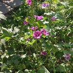 IMG_7836