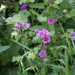IMG_7841