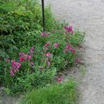 IMG_7843