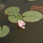 IMG_7844