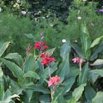 IMG_7847