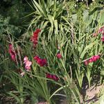 IMG_7848