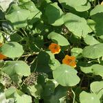 IMG_7849