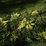 IMG_7856